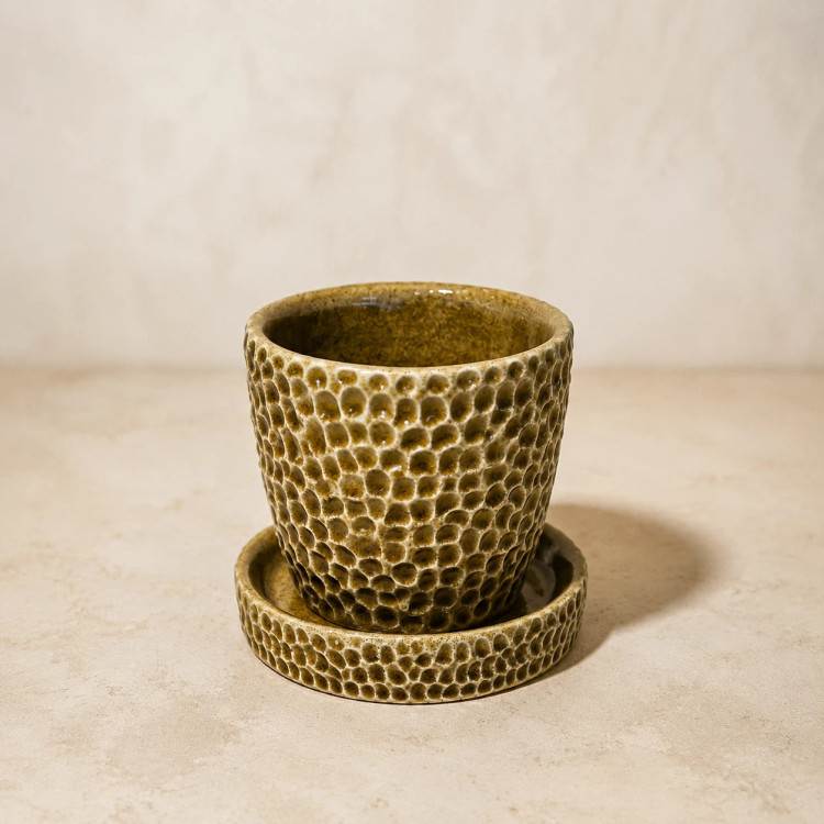 Close-up of a low-profile ceramic dish with raised textured rim and glossy olive glaze